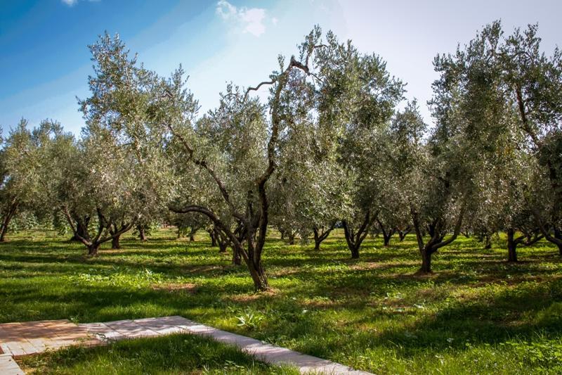 카스타니에토카르두치 Borgo Rurale San Giusto 게스트하우스 외부 사진